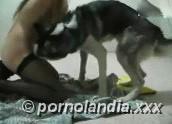 AMO LOS PERROS - Foto 138269