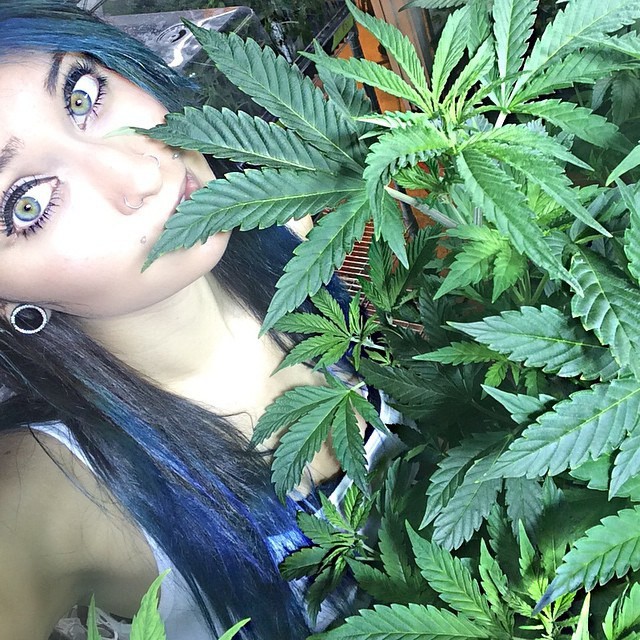 Jóvenes calurosos que aman las chicas ganadoras de marihuana a base de hierba - Foto 9316