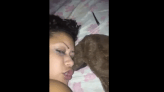 El Animal Destrozador